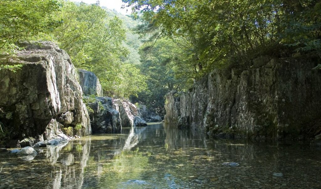 부산 근교 계곡